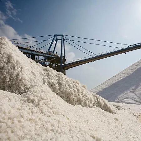 Apartman Homely Casa Carmen *