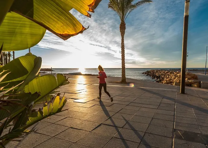 Appartement Homely Casa Carmen *